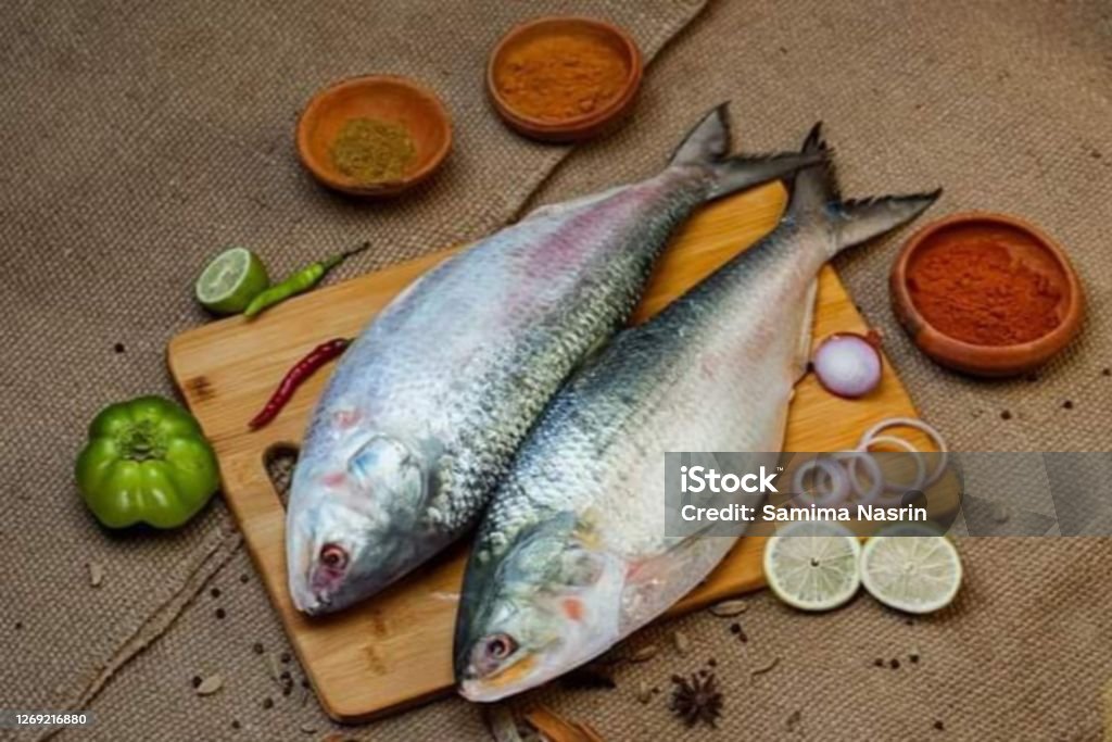 two hilsa fish ready for cut.